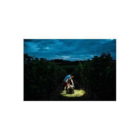 Ledlenser H7R Core, Naglavna polnilna svetilka, Črna