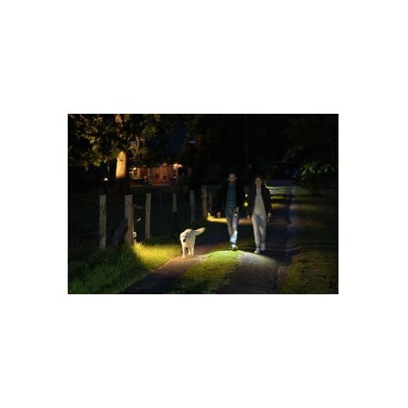 Ledlenser P7R Core, Ročna polnilna svetilka, Črna