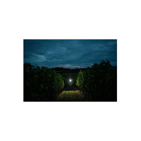 Ledlenser H7R Signature, Polnilna naglavna svetilka, Črna