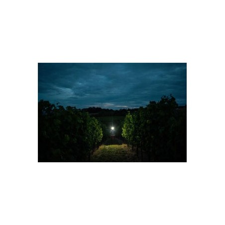 Ledlenser H7R Signature, Polnilna naglavna svetilka, Črna